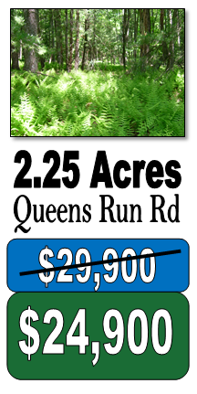 queens-run-rd-reduced