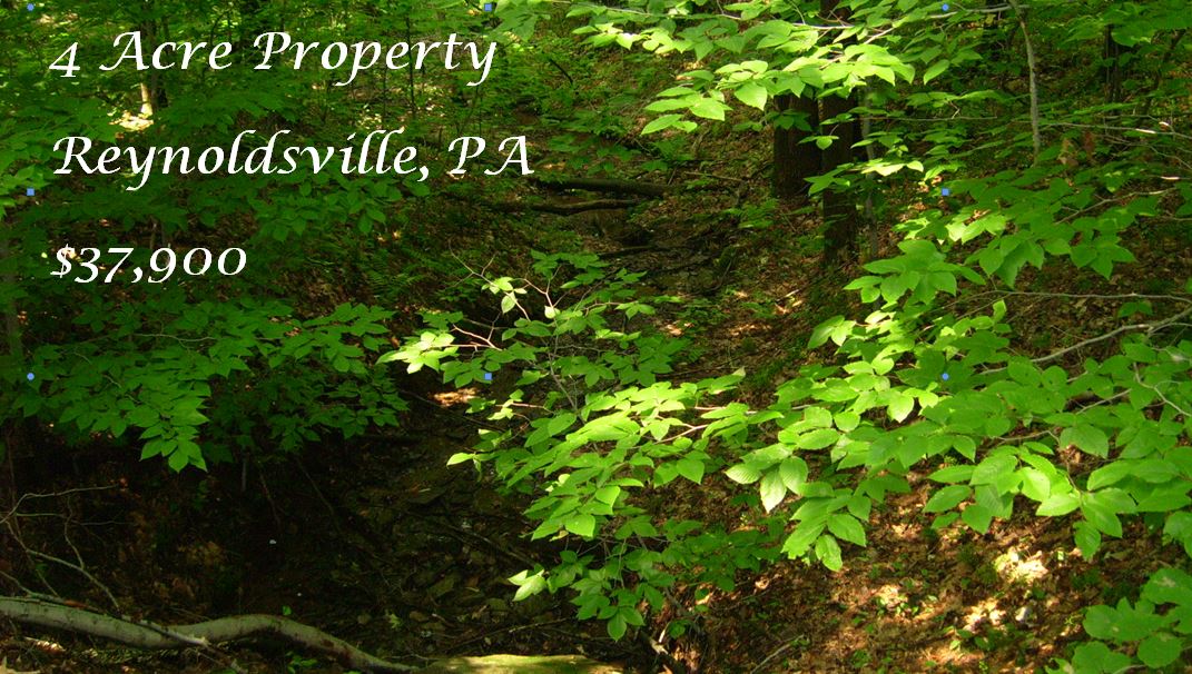 4 Acre Property in Reynoldsville, PA