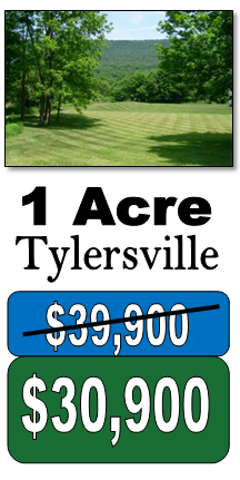 tylersville-reduced